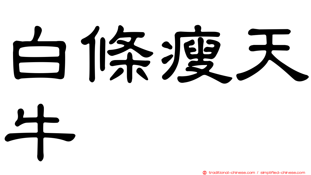 白條瘦天牛