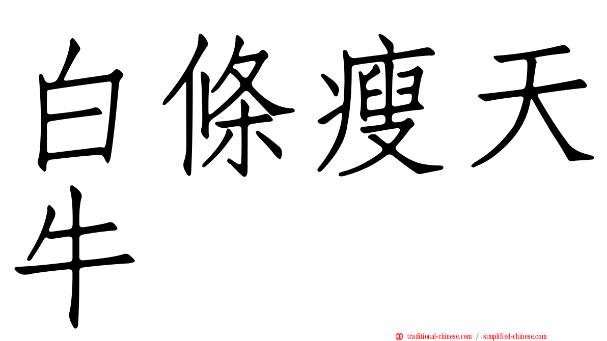 白條瘦天牛