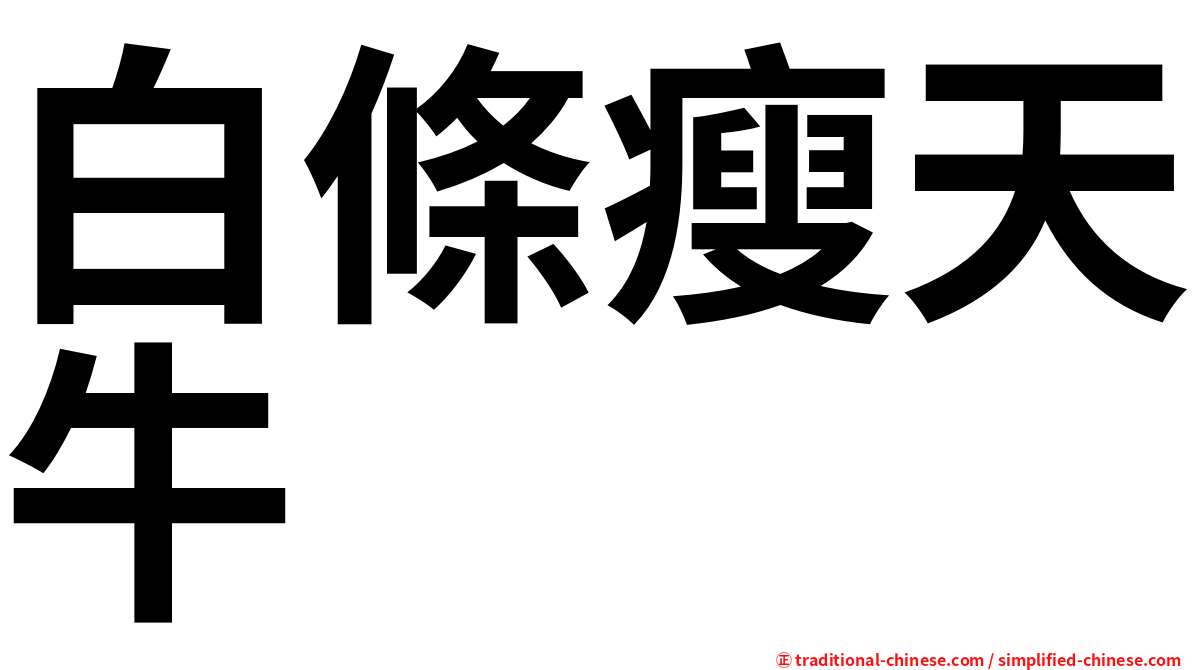 白條瘦天牛