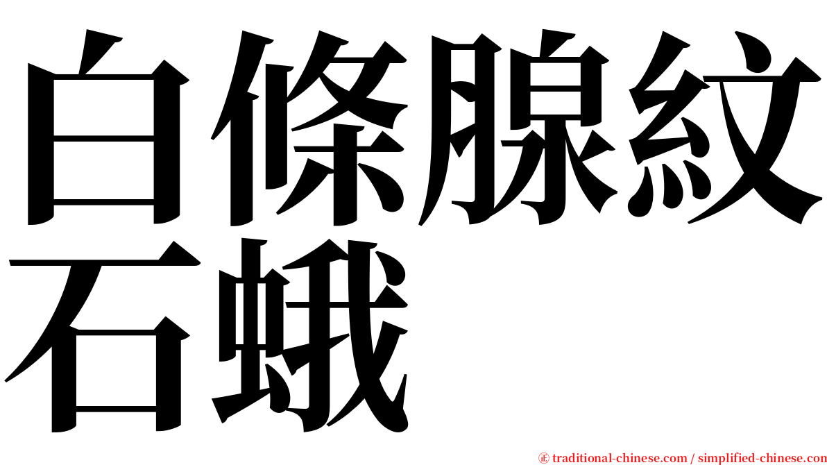 白條腺紋石蛾 serif font