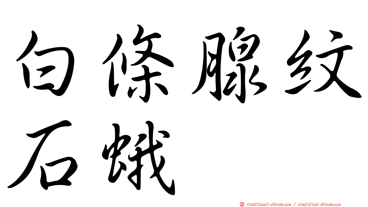 白條腺紋石蛾