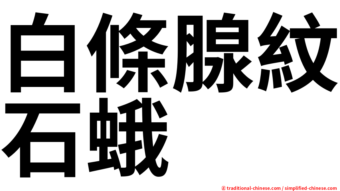 白條腺紋石蛾