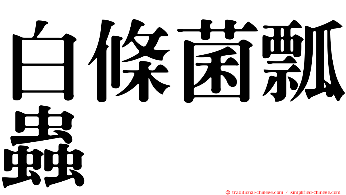白條菌瓢蟲