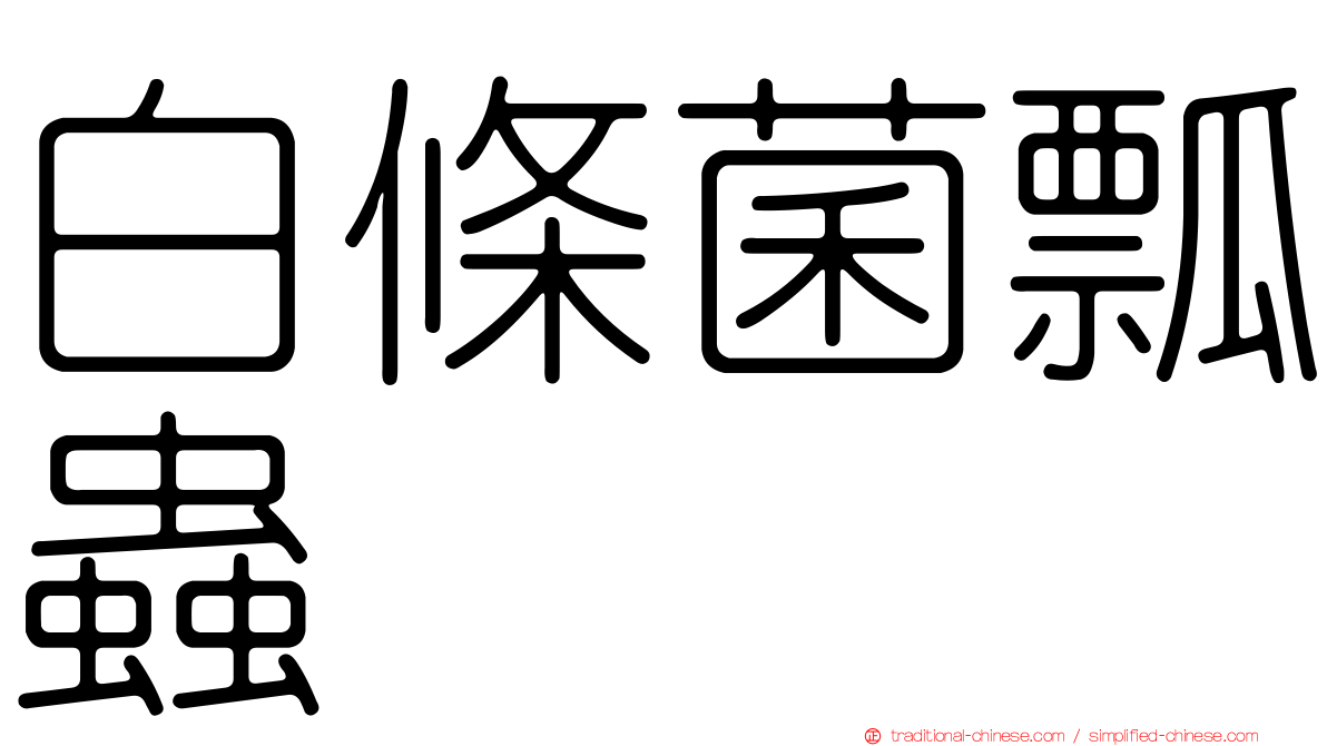 白條菌瓢蟲