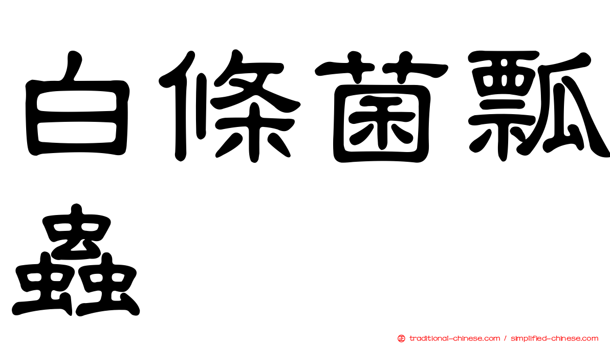 白條菌瓢蟲