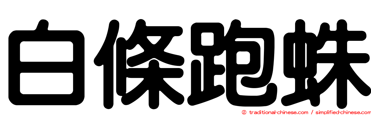 白條跑蛛