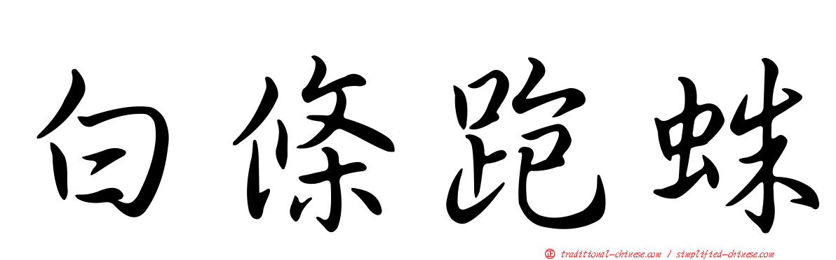 白條跑蛛