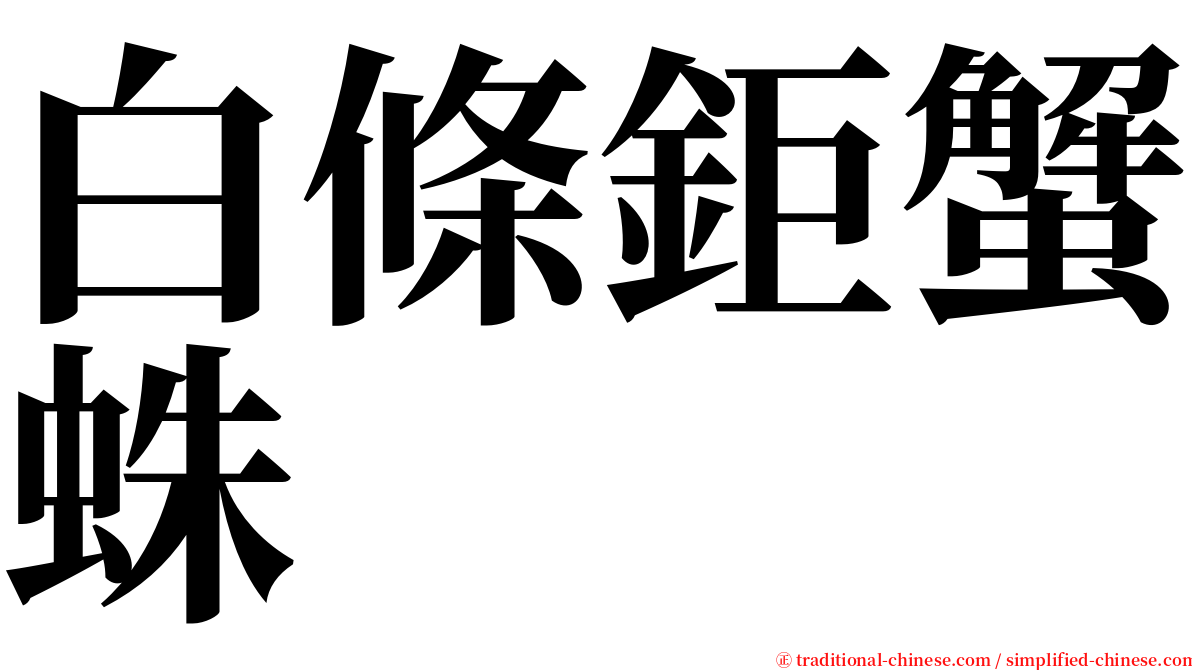 白條鉅蟹蛛 serif font