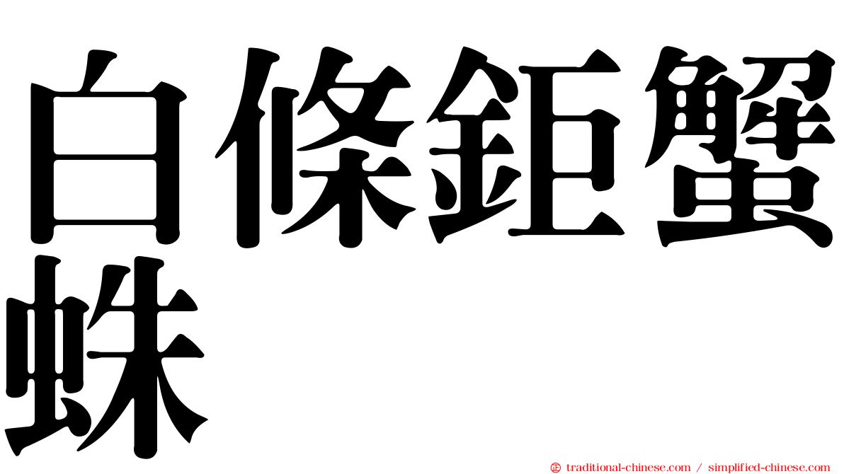 白條鉅蟹蛛