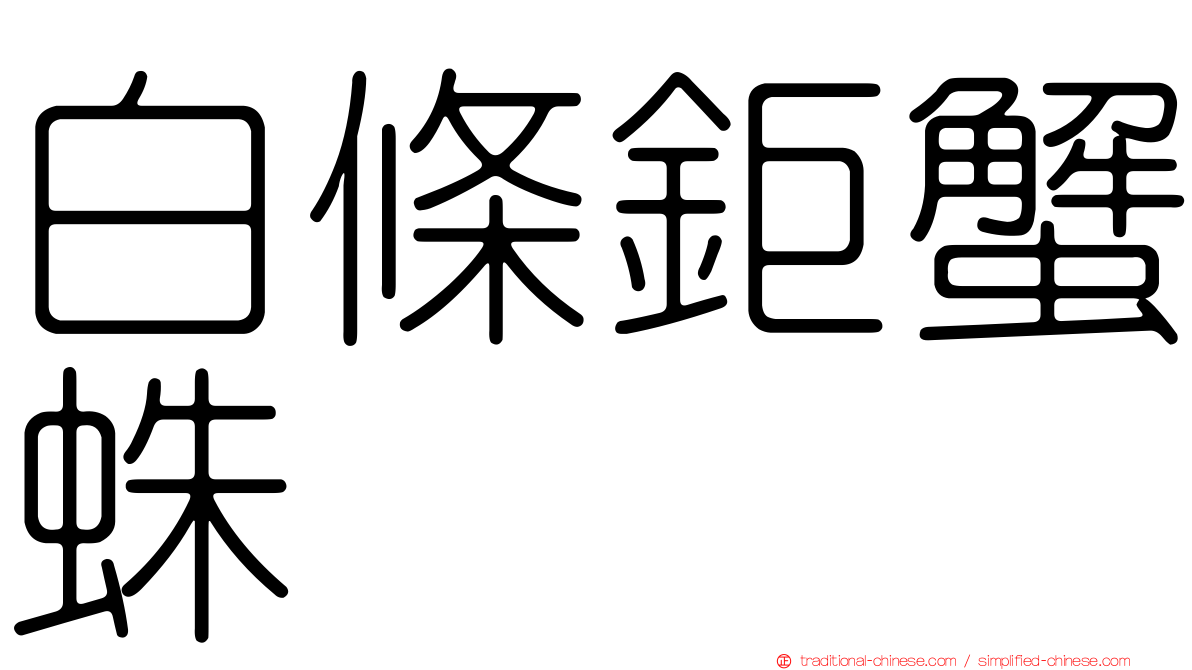 白條鉅蟹蛛