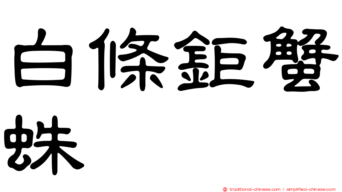 白條鉅蟹蛛