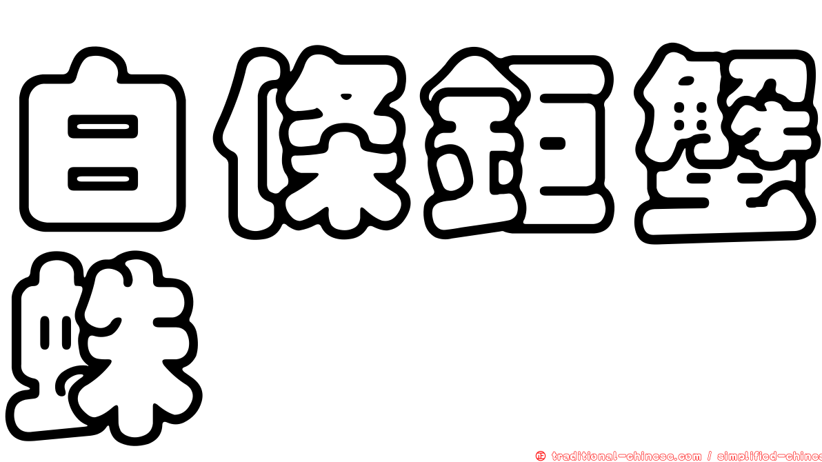 白條鉅蟹蛛