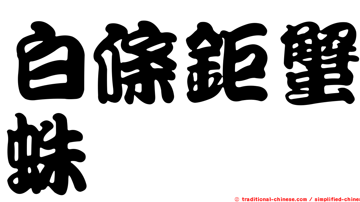 白條鉅蟹蛛