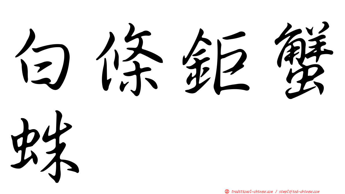 白條鉅蟹蛛