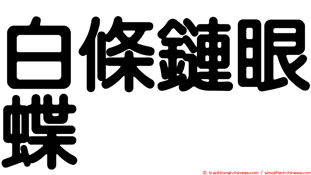 白條鏈眼蝶