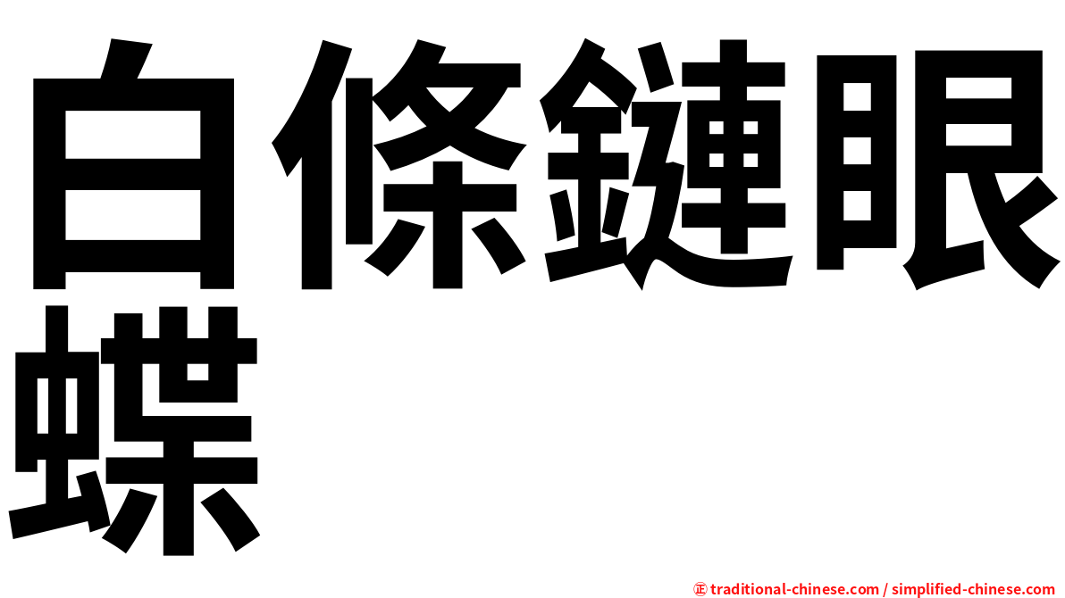 白條鏈眼蝶