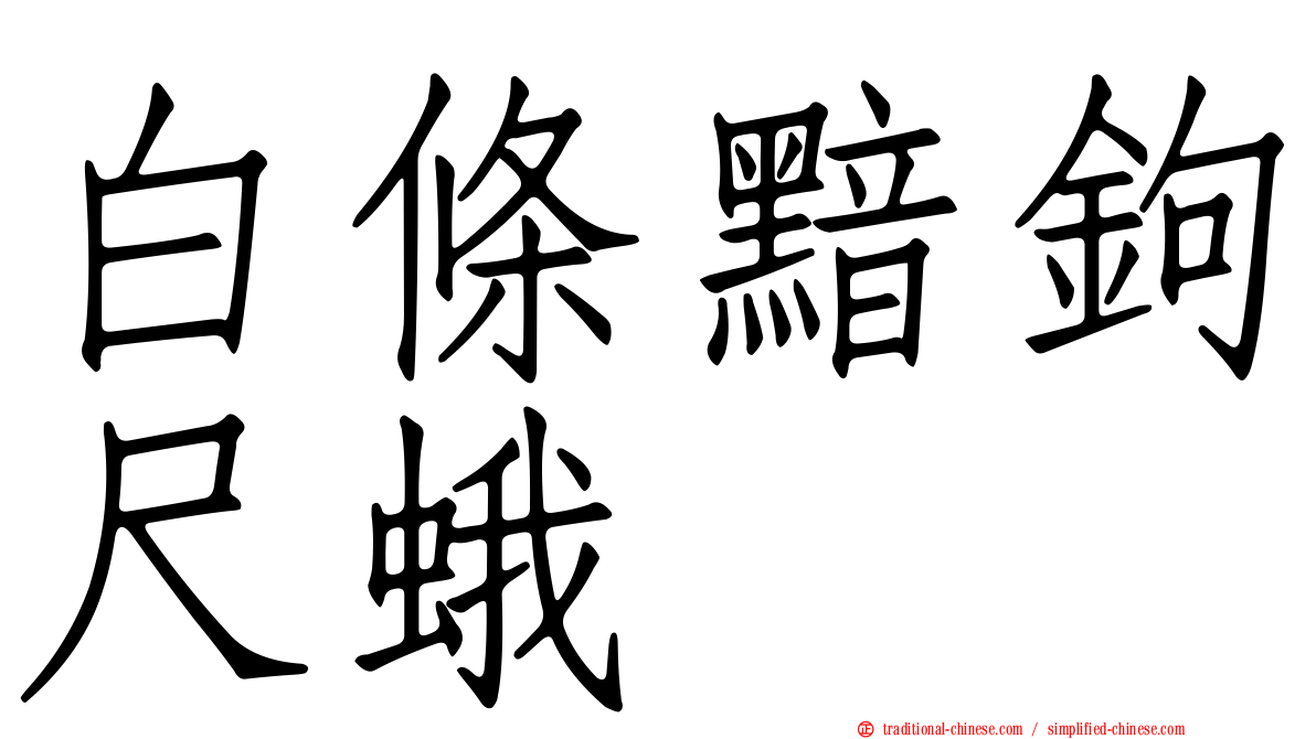 白條黯鉤尺蛾