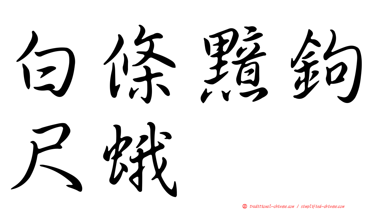 白條黯鉤尺蛾