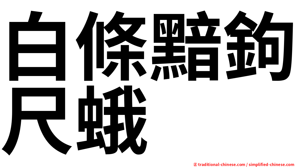 白條黯鉤尺蛾