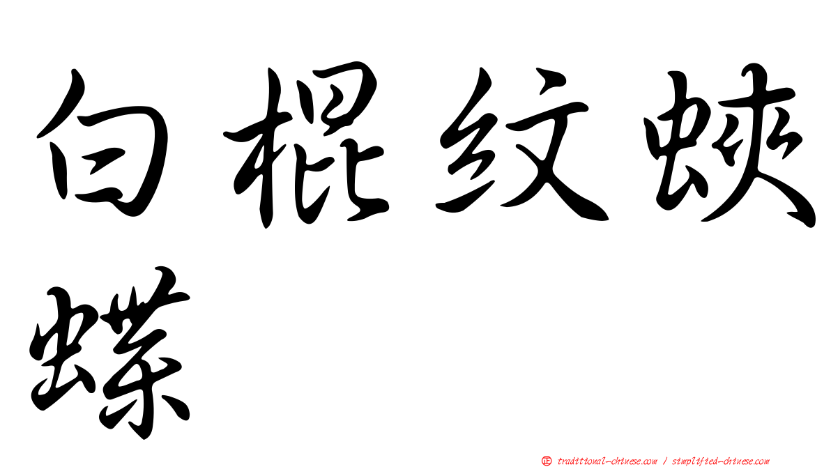白棍紋蛺蝶