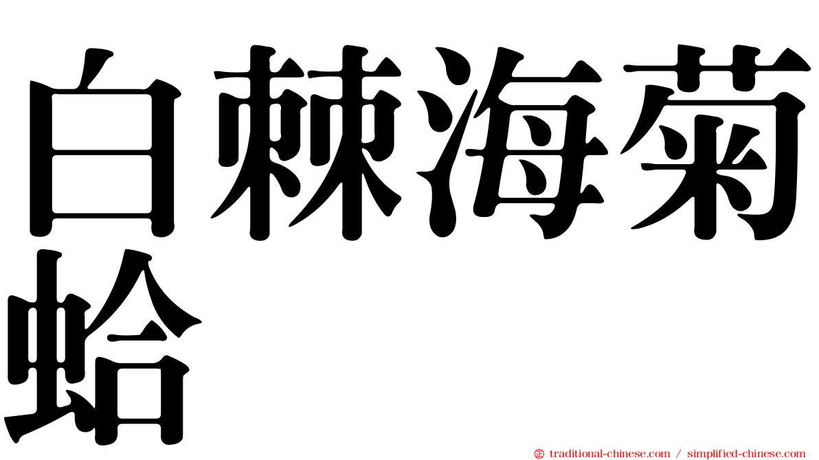 白棘海菊蛤