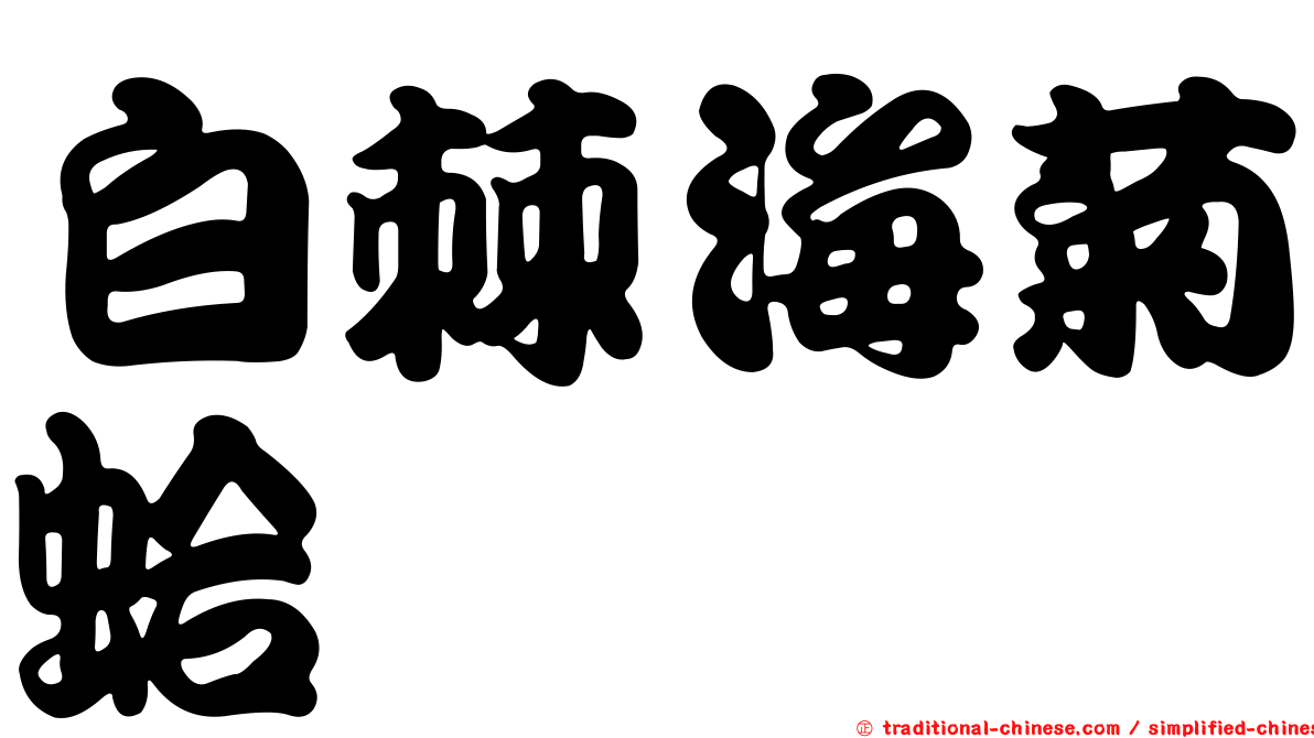 白棘海菊蛤