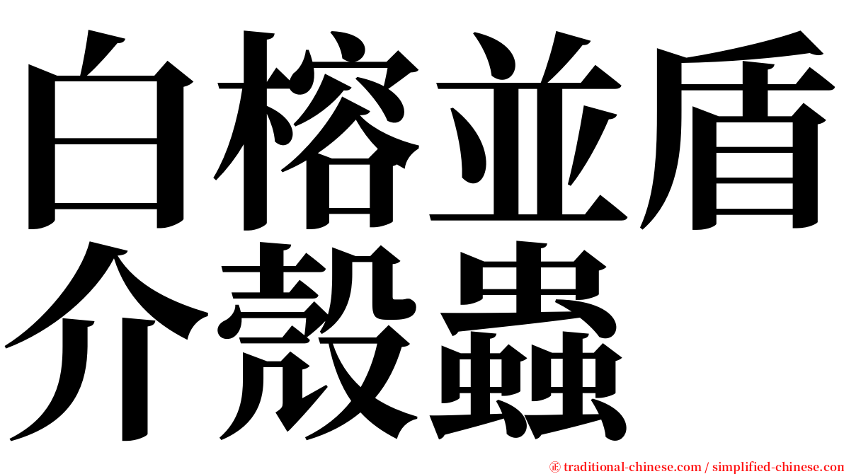 白榕並盾介殼蟲 serif font