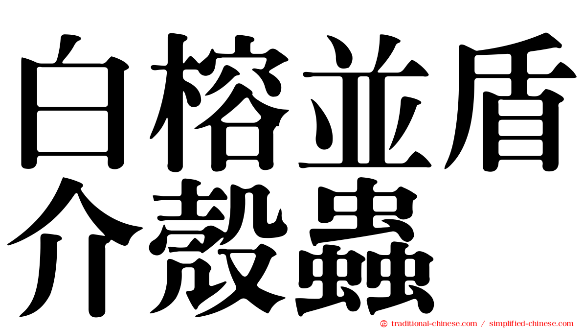 白榕並盾介殼蟲