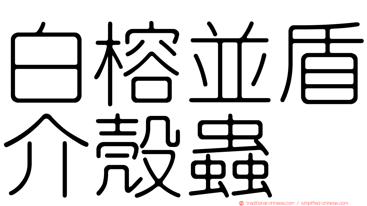 白榕並盾介殼蟲