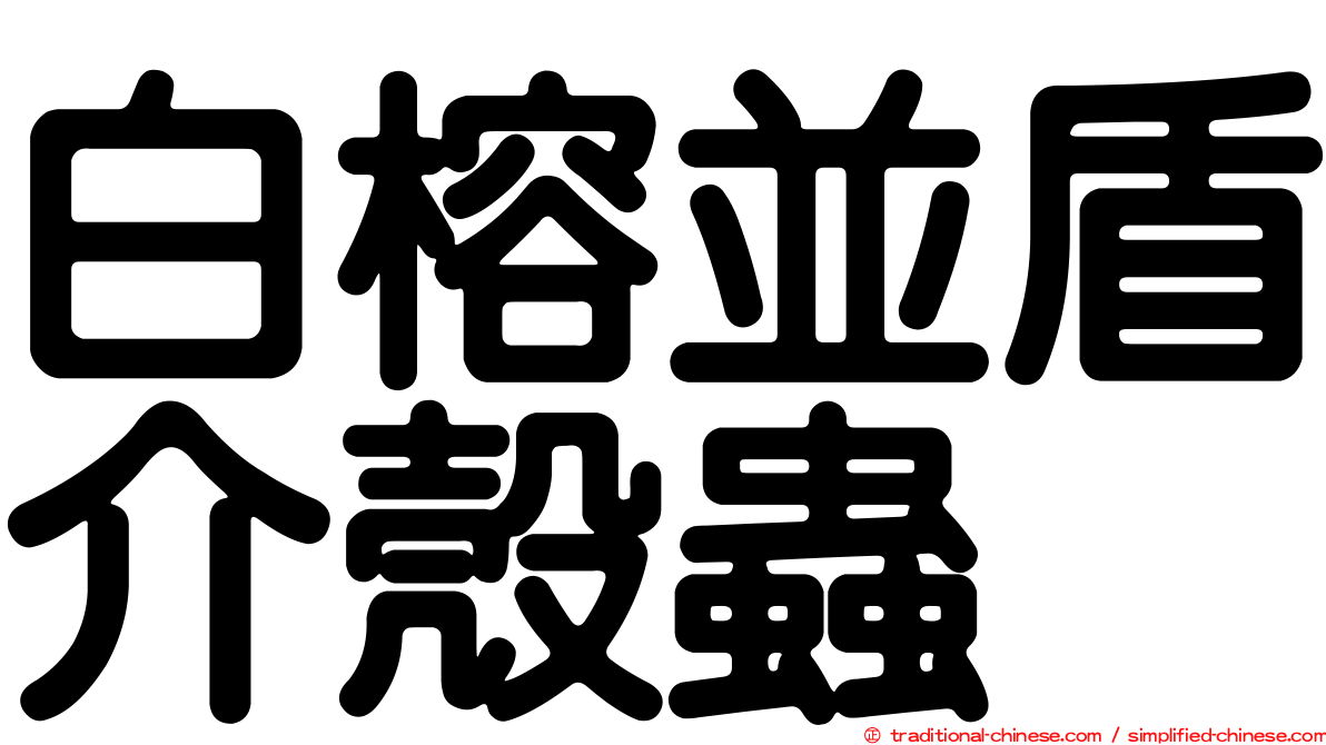 白榕並盾介殼蟲