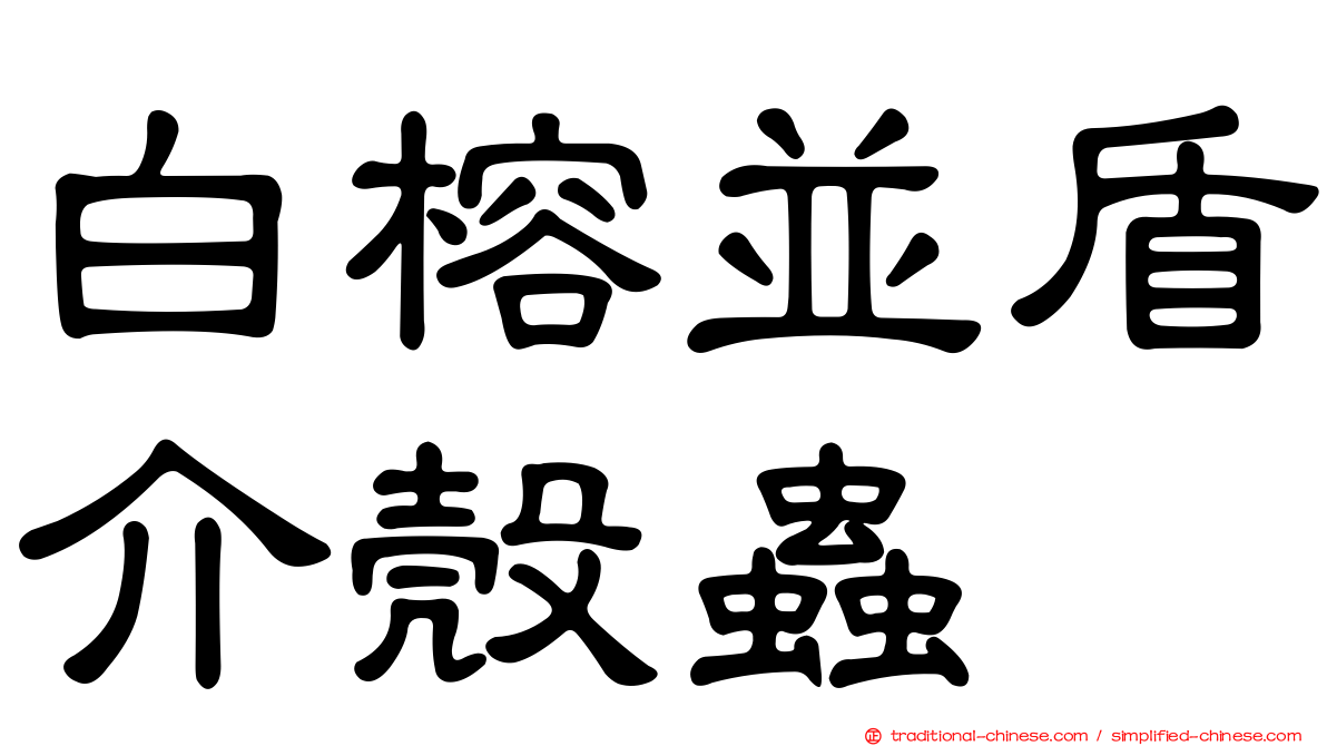 白榕並盾介殼蟲