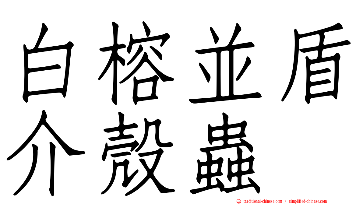 白榕並盾介殼蟲