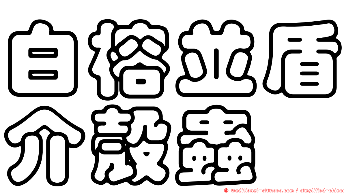 白榕並盾介殼蟲
