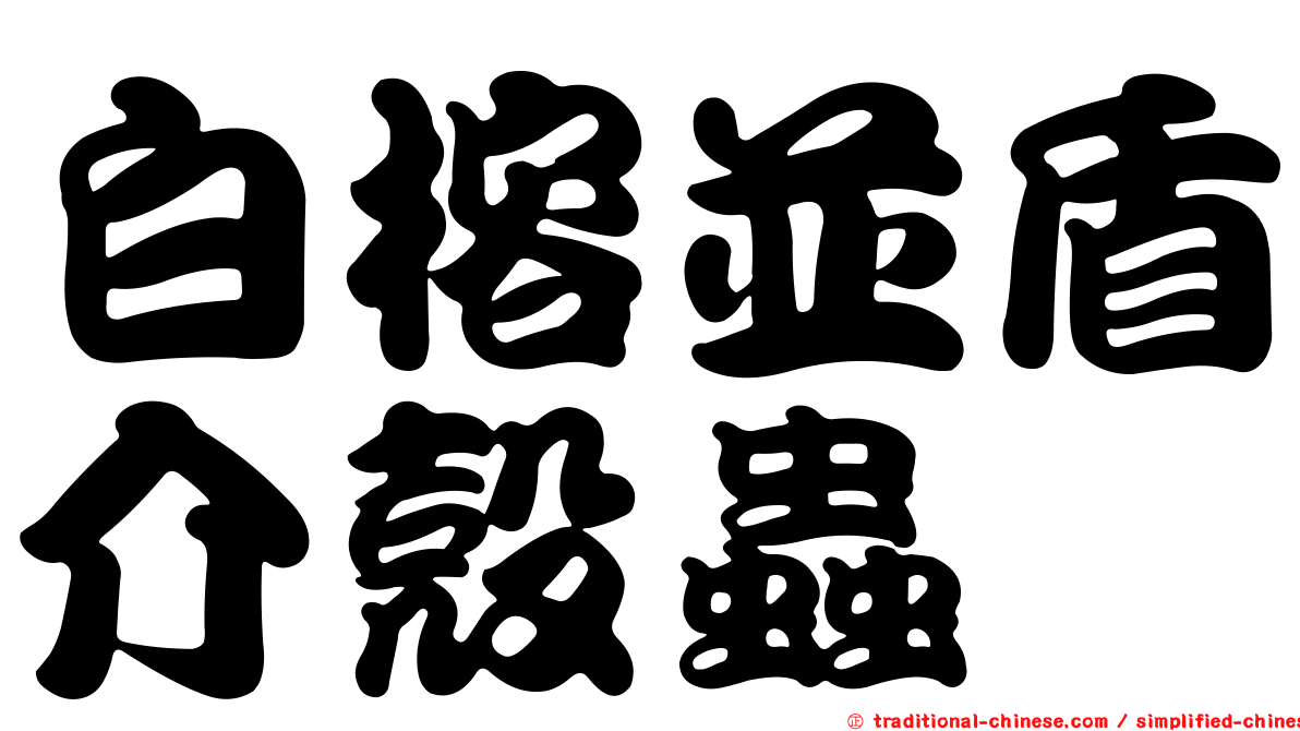 白榕並盾介殼蟲