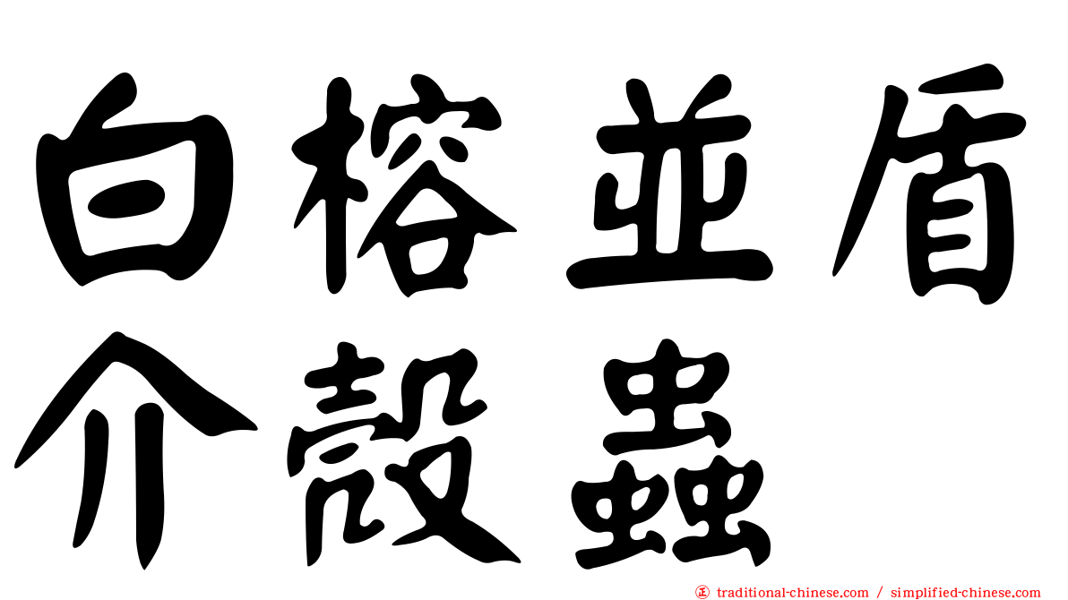 白榕並盾介殼蟲