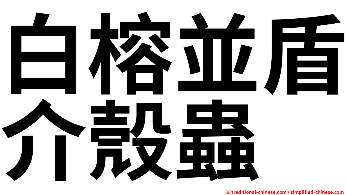 白榕並盾介殼蟲
