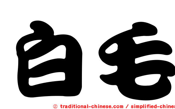 白毛