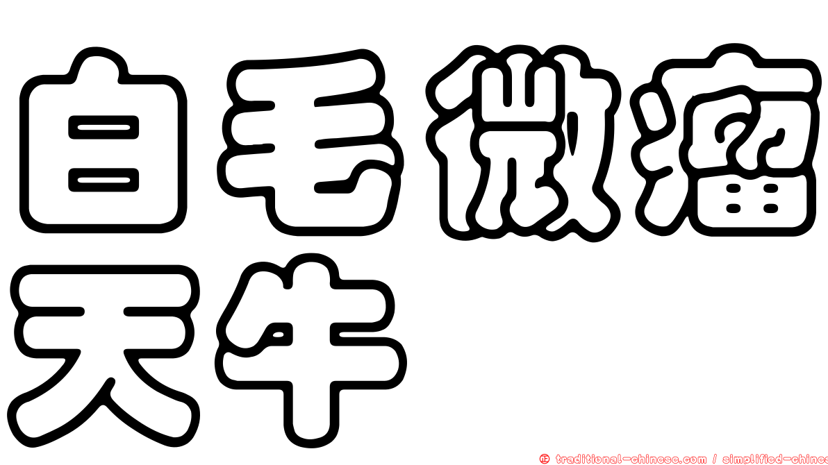 白毛微瘤天牛
