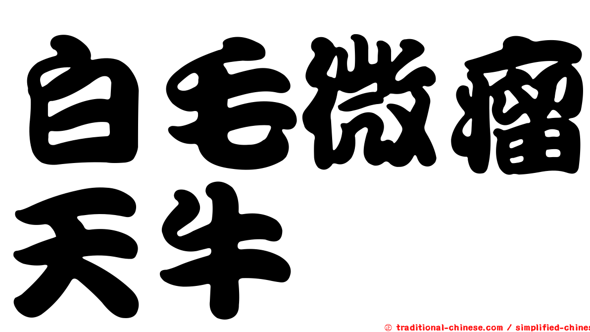 白毛微瘤天牛