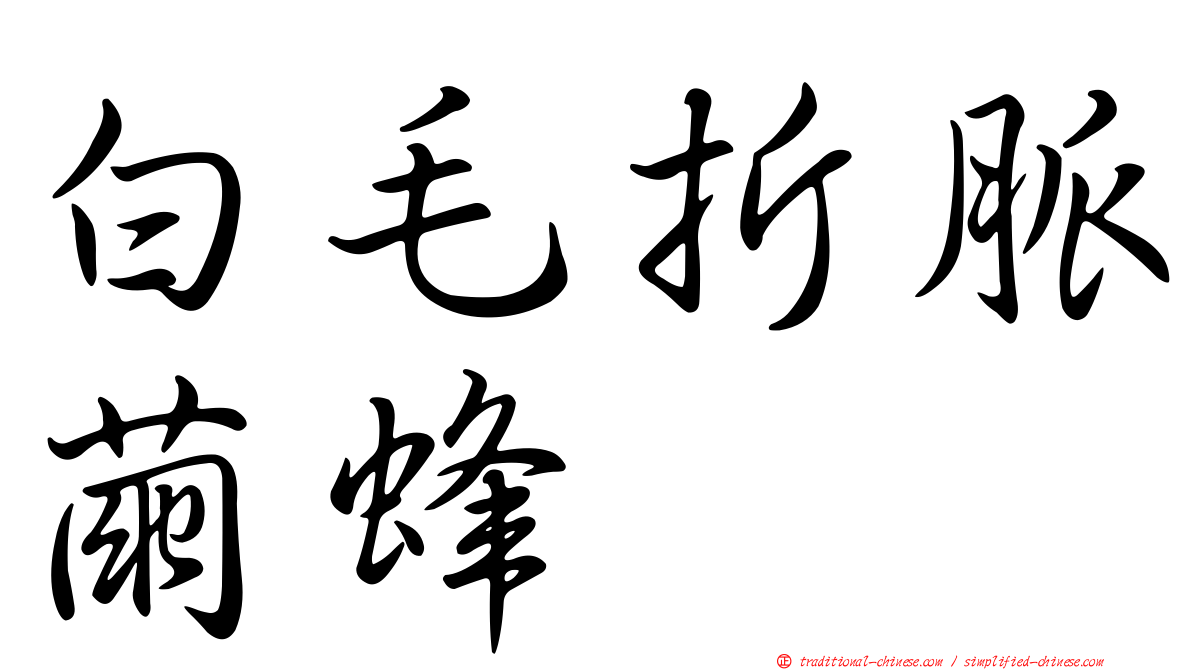 白毛折脈繭蜂