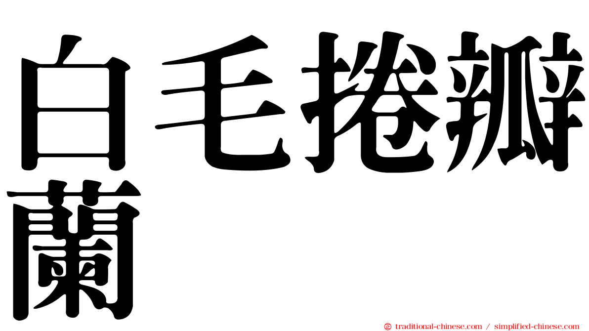 白毛捲瓣蘭