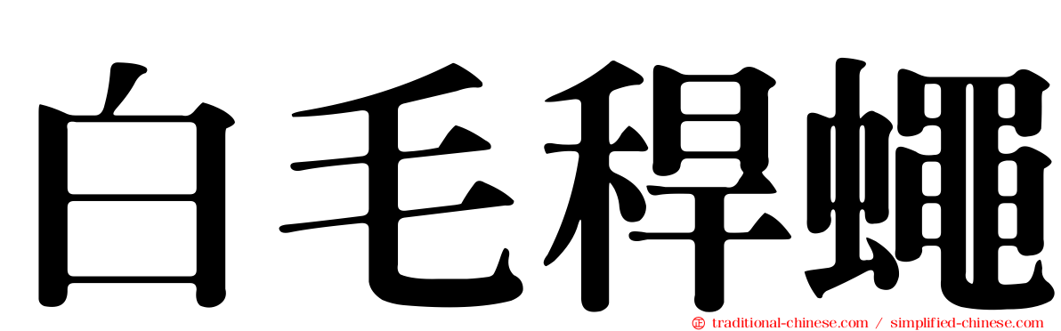 白毛稈蠅