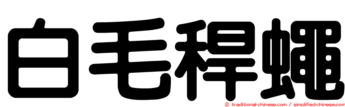 白毛稈蠅