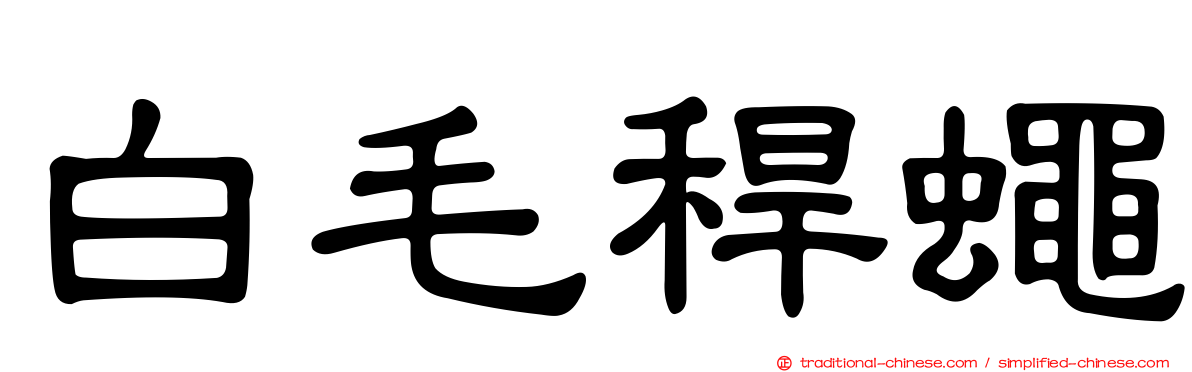 白毛稈蠅