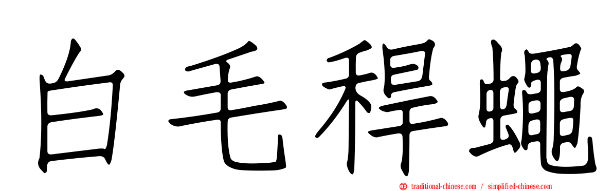 白毛稈蠅
