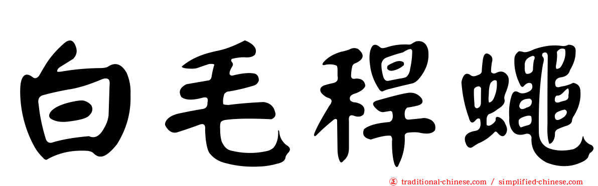 白毛稈蠅