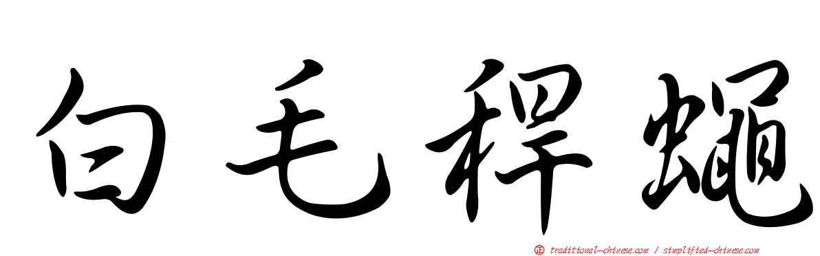 白毛稈蠅