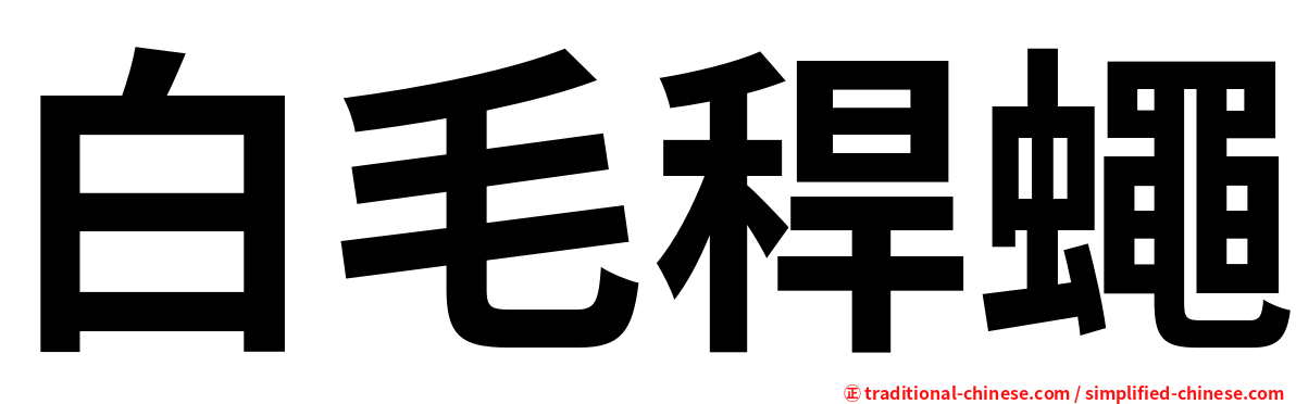 白毛稈蠅