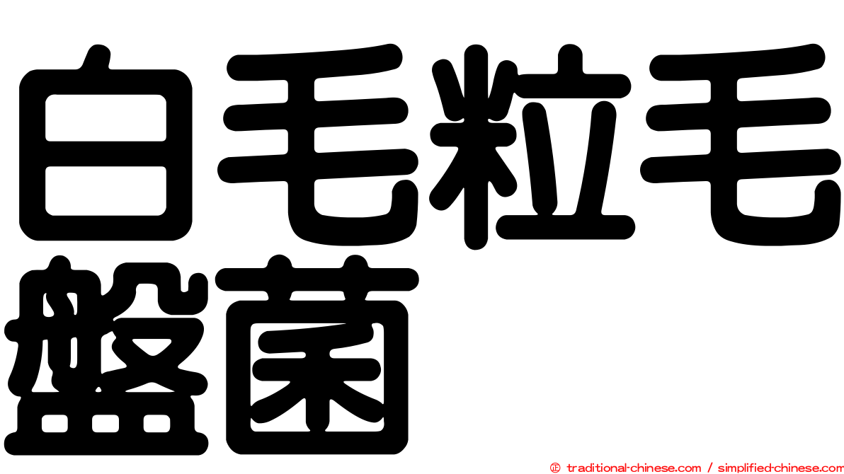 白毛粒毛盤菌