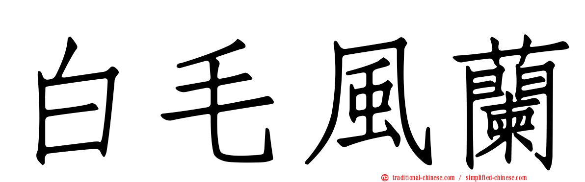 白毛風蘭
